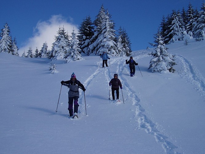 Les Glaciers