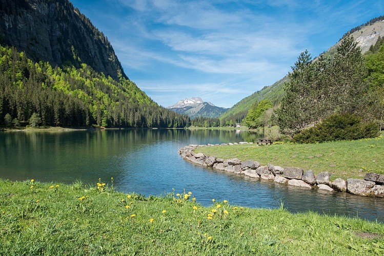 Du Lac de Montriond à la Cascade d'Ardent