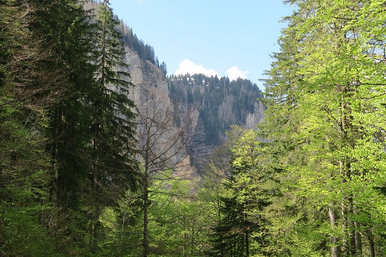 Itinéraire pédestre : du Lac de Montriond à la Cascade d’Ardent_Montriond