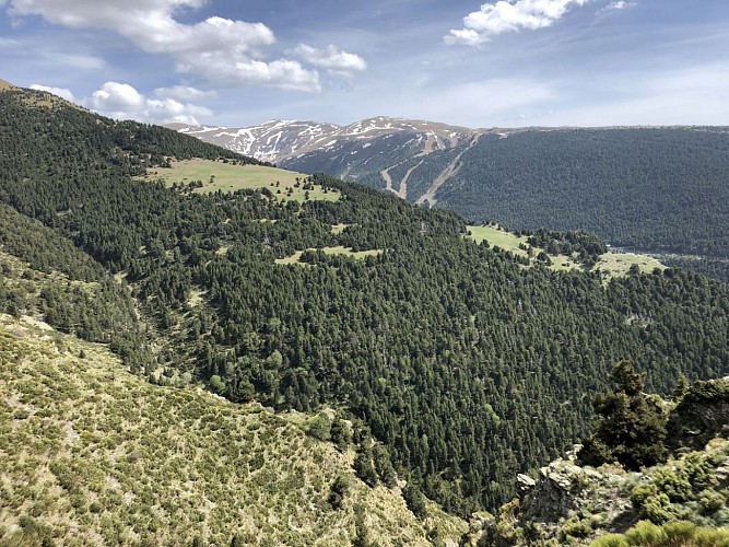 PR104 - Err – Las Planes – Ségalera