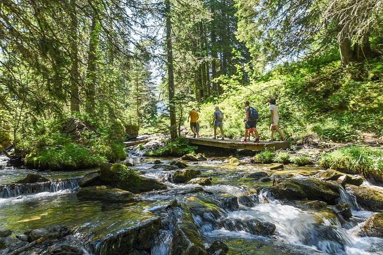 Des Lindarets à la cascade des Brochaux