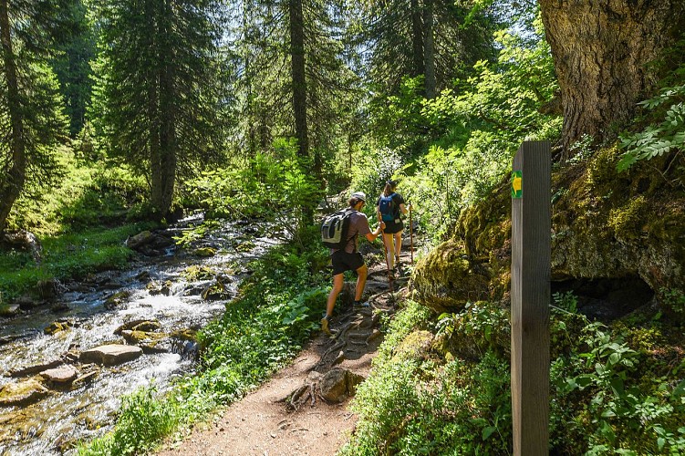 Des Lindarets à la Cascade des Brochaux