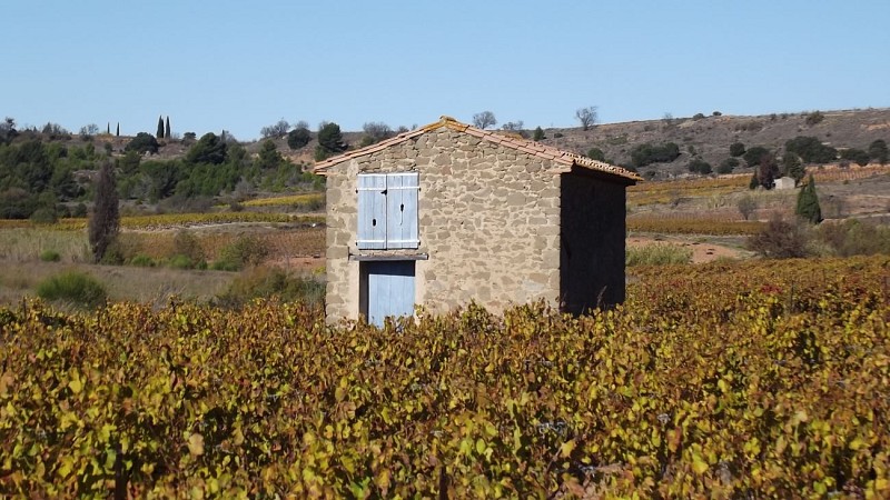 Balade Vélo en vignoble Minervois