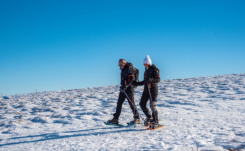 Sneeuwschoenrout - l'asticot