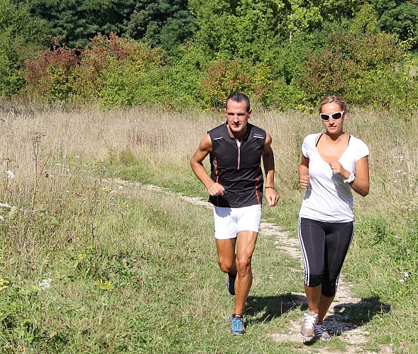 Parcours Running 12km "Les deux vallées"_Bussy-Saint-Georges
