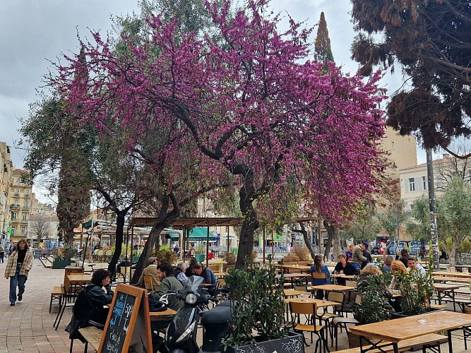 Bar Cours Julien avec arbre fleuri