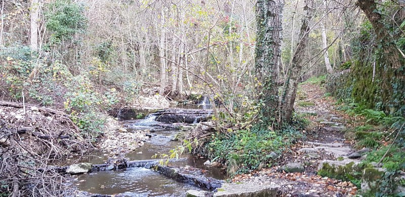Le ruisseau lors du passage à gué