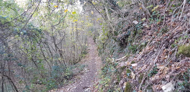 Le sentier monotrace