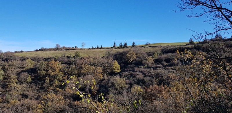 En arrivant sur les hauteurs