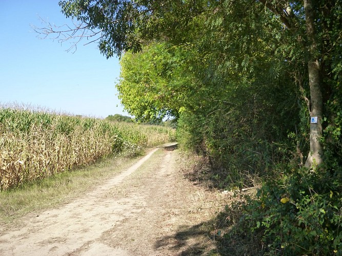 Yzosse---Le-Sentier