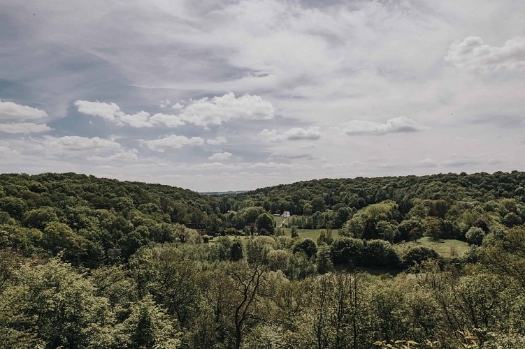 Promenade dans les bois, Bois du Grand Bon Dieu à Thuin