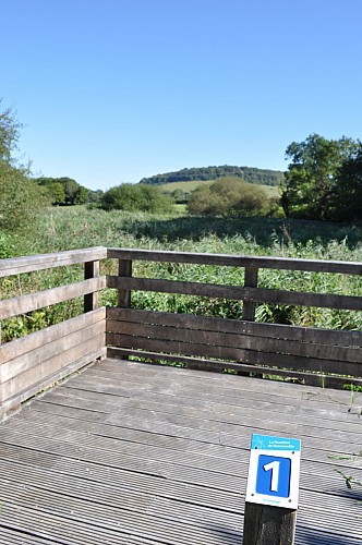 La roselière de Normanville, un espace naturel accessible à tous