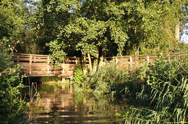 La roselière de Normanville, un espace naturel accessible à tous