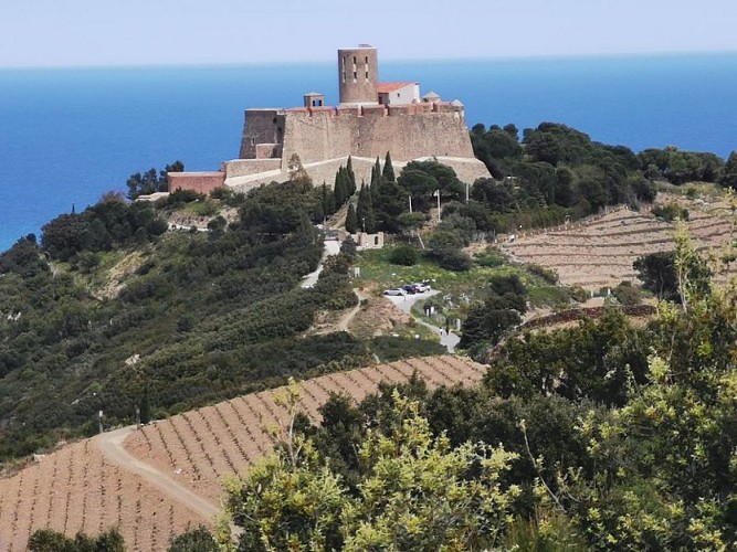 From Port-Vendres to Fort Saint-Elme