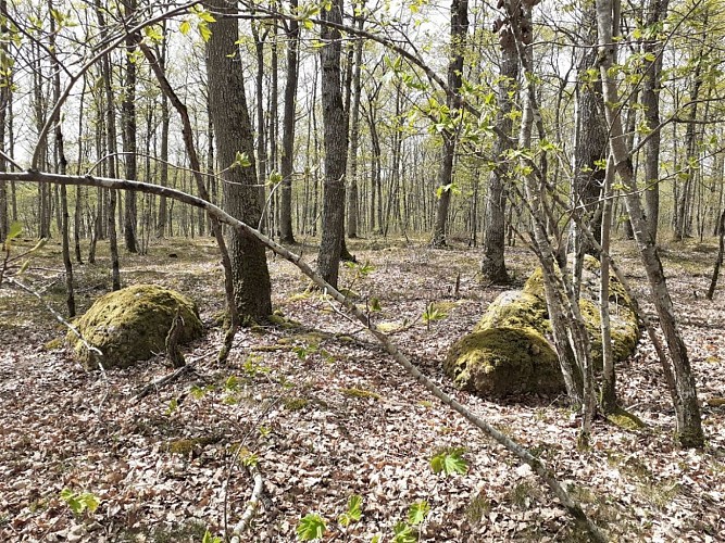 La Chapelle Enchérie
