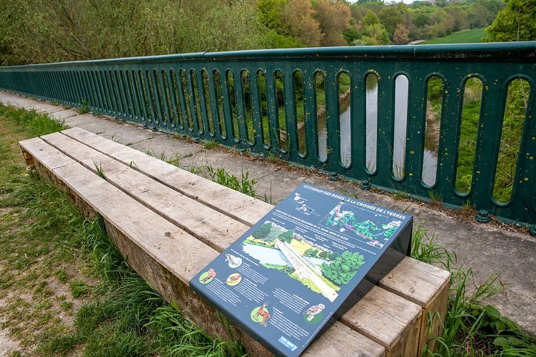 The Roses Path by bike