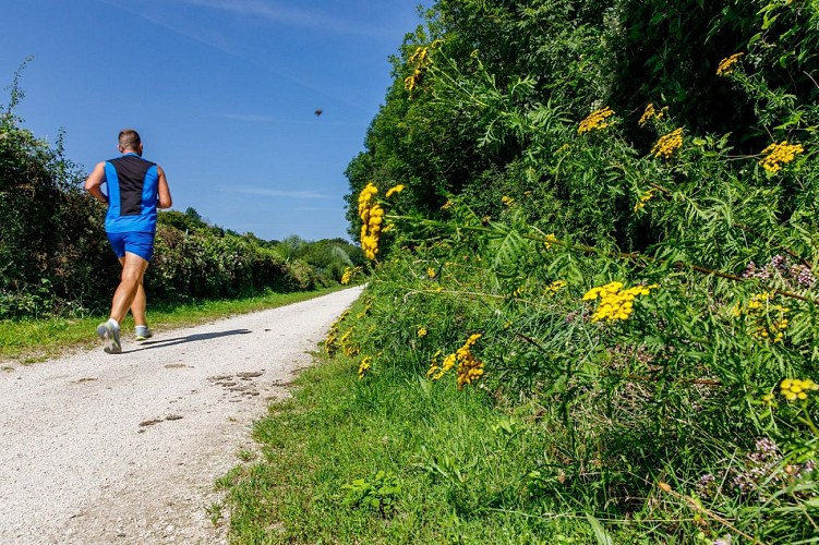 Chemin des Roses