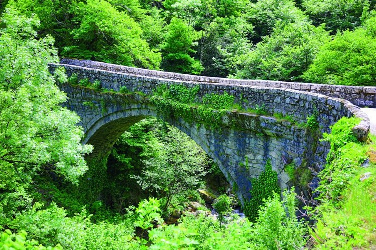 Le Pont de Bes-Bédène, ancienne voie romaine