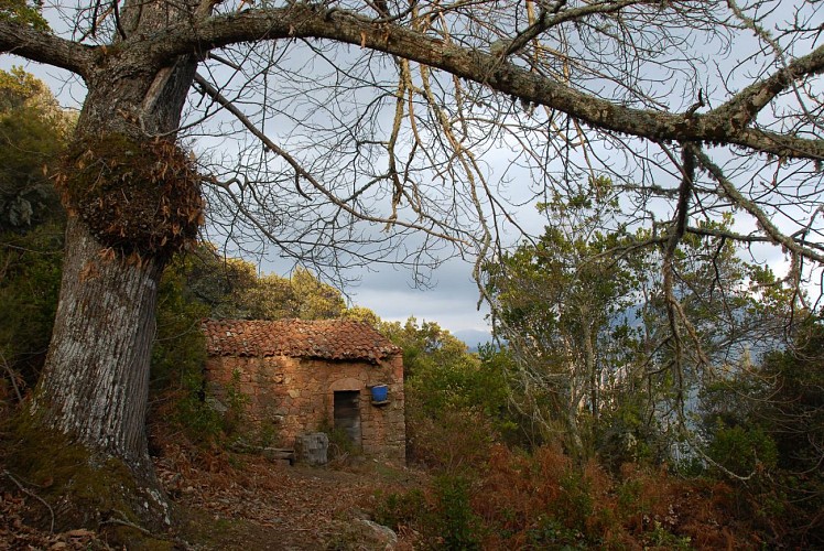 Corse- Région Ajaccio- Monte Aragnascu [Mars 2013]