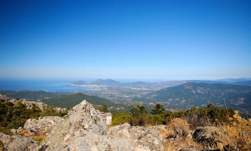Corse- Région d'Ajaccio- Punta di Sarracinaggio [août 2012]