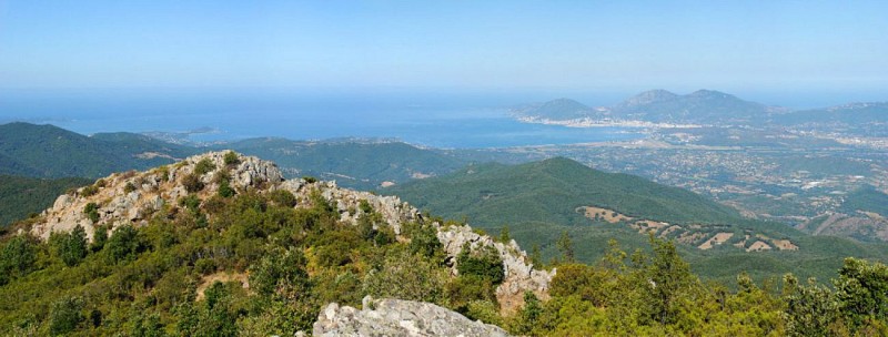 Corse- Région d'Ajaccio- Punta di Sarracinaggio [août 2012]