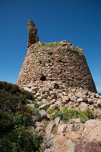 Corse- Région Ajaccio- Tour de Capo di Feno depuis Villanova [avril 2014]