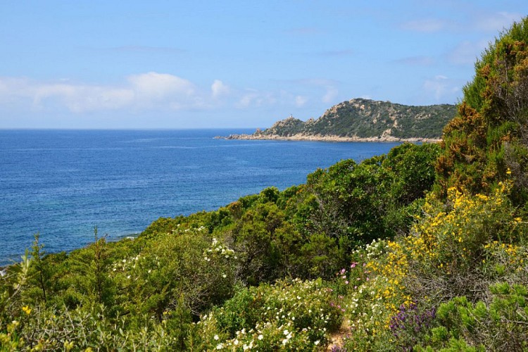 Corse- Région Sartenais/Valinco- Capo di Muru- Entre les golfes d'Ajaccio et du Valinco [avril 2014]