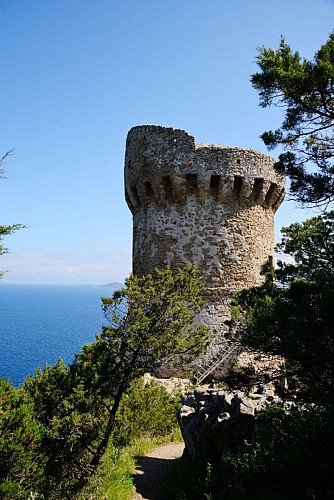 Corse- Région Sartenais/Valinco- Capo di Muru- Entre les golfes d'Ajaccio et du Valinco [avril 2014]
