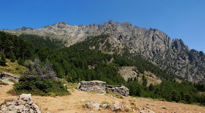 Corse- Région Asco- Bergeries d'Entrada- Vallée de l'Asco [Juillet 2012]