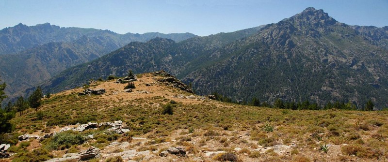 Corse- Région Asco- Bergeries d'Entrada- Vallée de l'Asco [Juillet 2012]