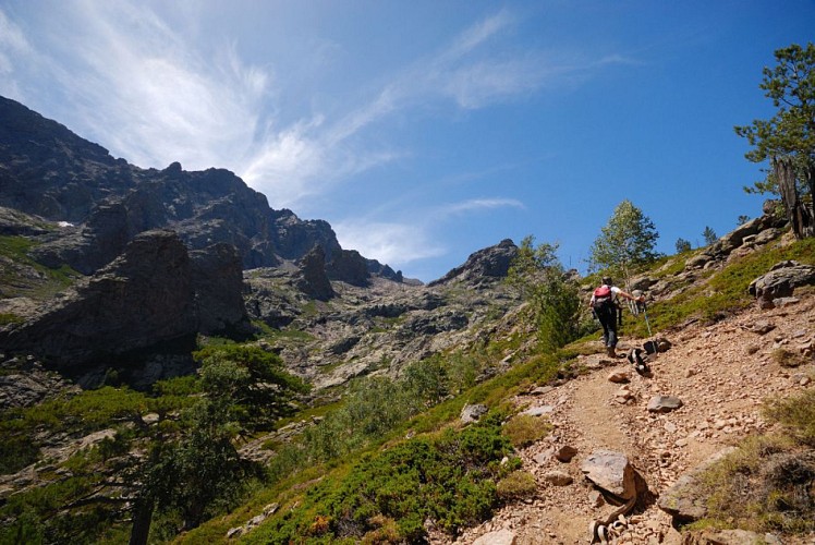Corse- Région Asco-Au delà des bergeries de Manica vers Capu Borba [août 2012]