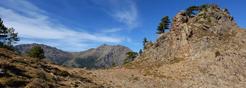 Corse- Région Asco- Col de Rundinaia [octobre 2011]