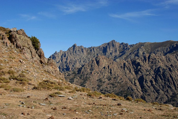 Corse- Région Asco- Col de Rundinaia [octobre 2011]