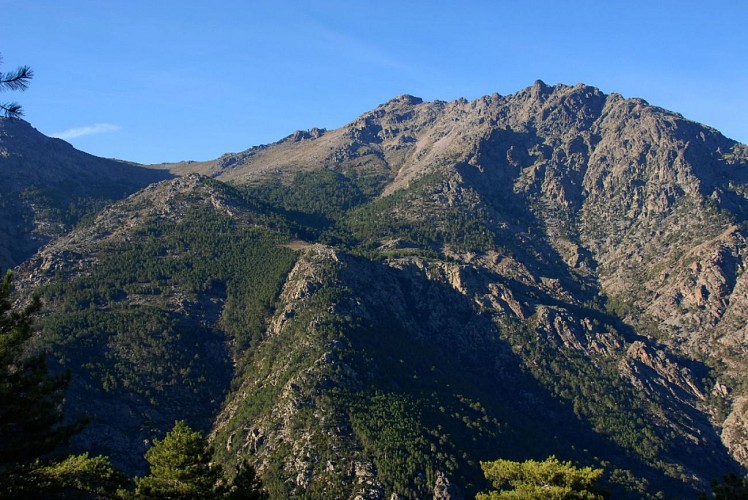 Corse- Région Asco- Col de Rundinaia [octobre 2011]