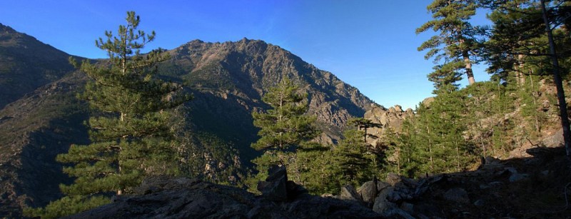 Corse- Région Asco- Col de Rundinaia [octobre 2011]