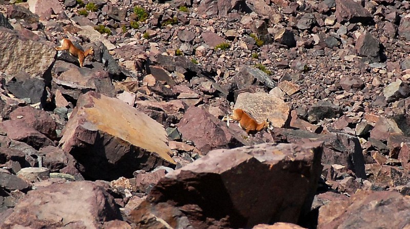 Corse- Région Asco- Trimbolacciu: Cirque et lac [septembre 2011]