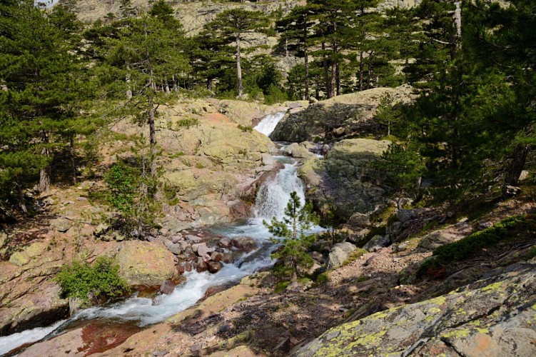 Corse- Région Asco- Trimbolacciu: Cirque et lac [septembre 2011]