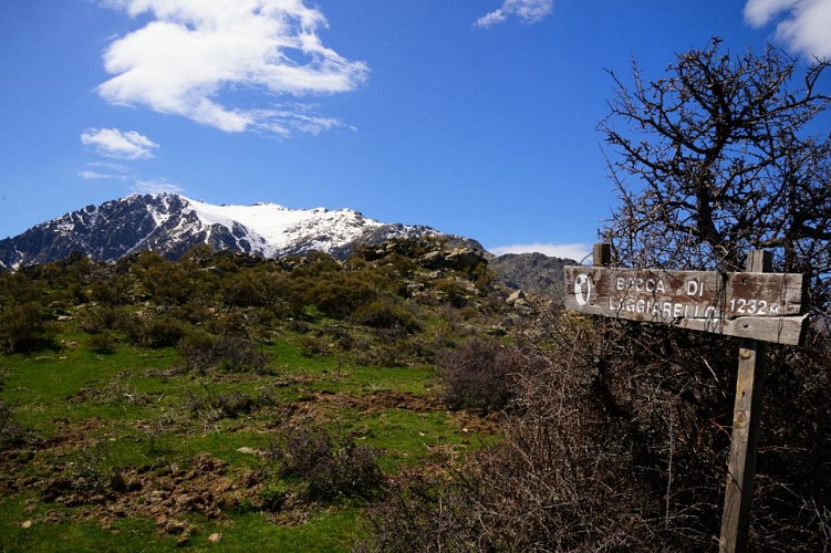 Corse- Région Asco- Bocca Laggiarello [avril 2013]