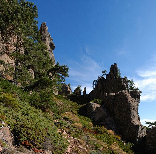 Corse- Région Bavella- Crête des Terrasses [septembre 2012]