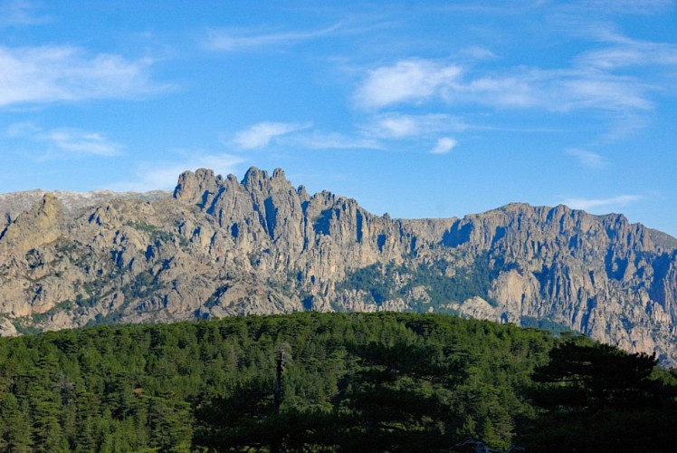 Corse- Région Bavella- Crête des Terrasses [septembre 2012]