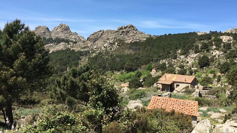 Corse- Région Cagna- Bergeries de Bitalza [octobre 2015]
