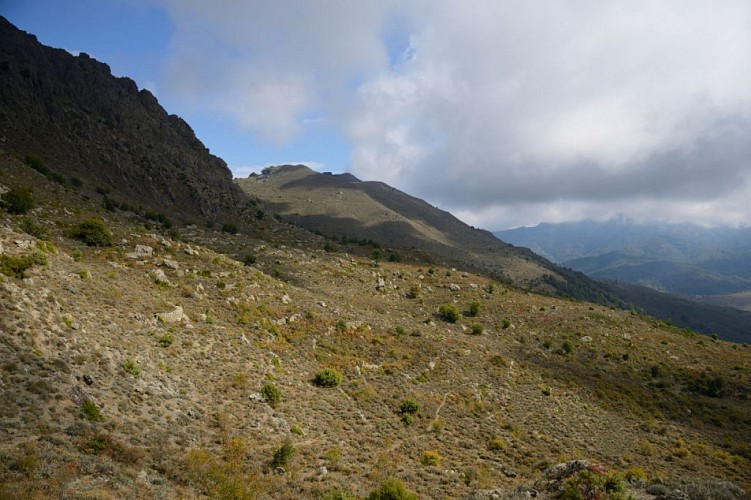 Corse- Région Cortenais- Monte Maggiore [octobre 2014]