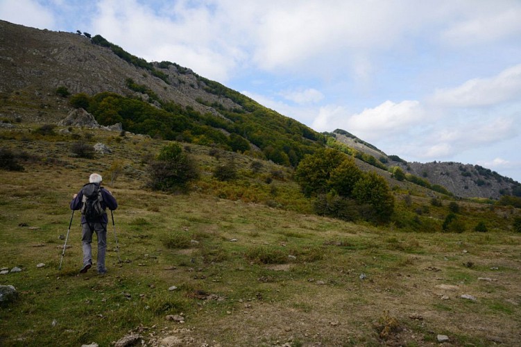 Corse- Région Cortenais- Monte Maggiore [octobre 2014]