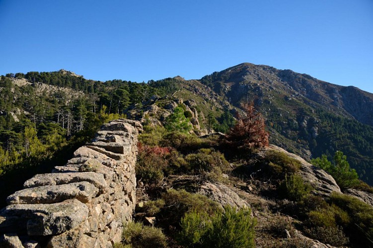 Corse- Région Cinarca- Monte Cervellu [novembre 2014]