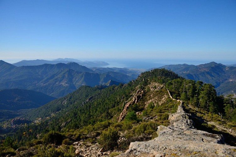 Corse- Région Cinarca- Monte Cervellu [novembre 2014]