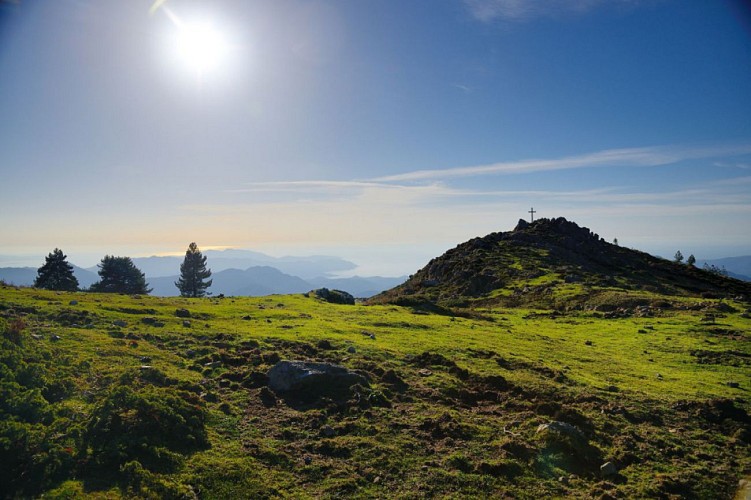 Corse- Région Cinarca- Monte Cervellu [novembre 2014]