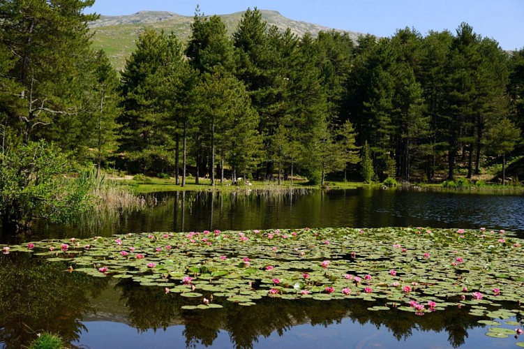 Corse- Région Cinarca- Lac de Creno et Monte Sant'Eliseo