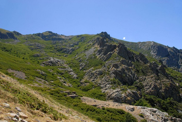Corse-Région Cortenais/Massif du Cardo- Vallée Bravino et versant Punta Lattiniccia [septembre 2010]