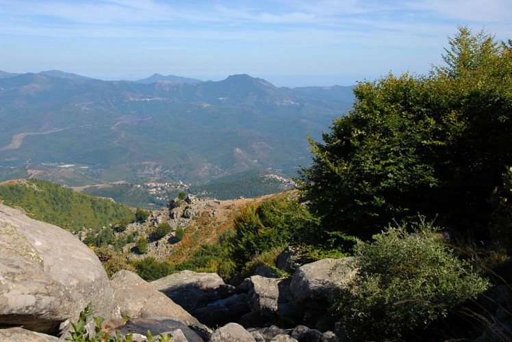 Corse- Région Cortenais/Venachese- Bergeries de Caldane [septembre 2010]