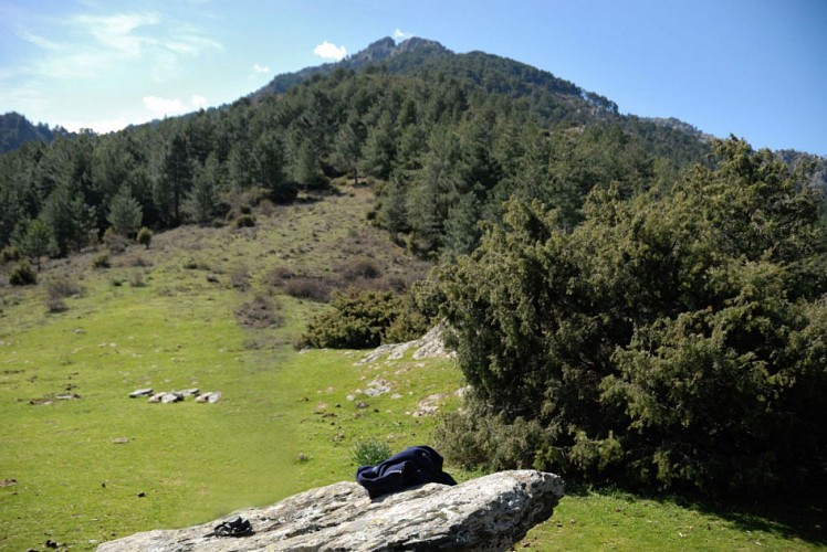 Corse- Région Cortenais- Promenade Punta di u Corbu (Mare e Mare) [mars 2011]